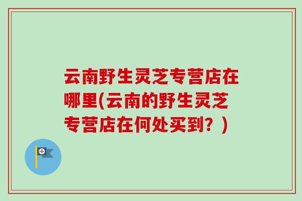 云南野生灵芝专营店在哪里(云南的野生灵芝专营店在何处买到?) 云南野生灵芝专营店在哪里(云南的野生灵芝专营店在何处买到?)