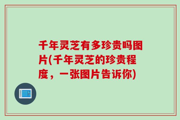 千年灵芝有多珍贵吗图片(千年灵芝的珍贵程度，一张图片告诉你)