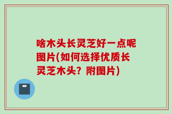 啥木头长灵芝好一点呢图片(如何选择优质长灵芝木头?附图片) 啥木头长灵芝好一点呢图片(如何选择优质长灵芝木头?附图片)