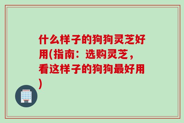 什么样子的狗狗灵芝好用(指南：选购灵芝，看这样子的狗狗最好用)