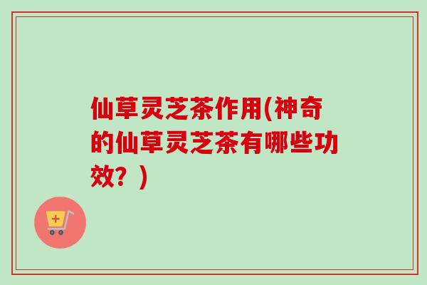 仙草灵芝茶作用(神奇的仙草灵芝茶有哪些功效？)