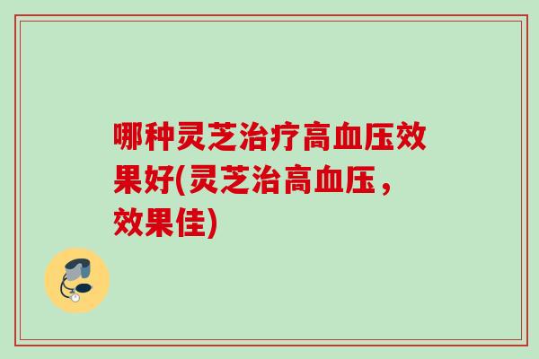 哪种灵芝治疗高血压效果好(灵芝治高血压，效果佳)