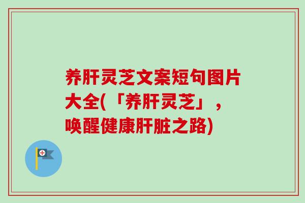 养灵芝文案短句图片大全(「养灵芝」,唤醒健康之路) 养灵芝文案短句图片大全(「养灵芝」,唤醒健康之路)