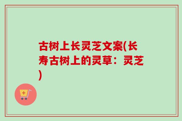 古树上长灵芝文案(长寿古树上的灵草:灵芝) 古树上长灵芝文案(长寿古树上的灵草:灵芝)