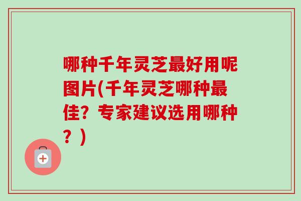 哪种千年灵芝最好用呢图片(千年灵芝哪种最佳？专家建议选用哪种？)