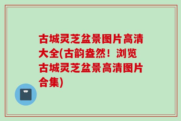 古城灵芝盆景图片高清大全(古韵盎然!浏览古城灵芝盆景高清图片合集) 古城灵芝盆景图片高清大全(古韵盎然!浏览古城灵芝盆景高清图片合集)