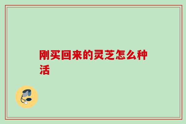 刚买回来的灵芝怎么种活 刚买回来的灵芝怎么种活