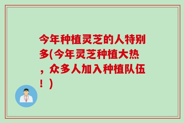 今年种植灵芝的人特别多(今年灵芝种植大热,众多人加入种植队伍!) 今年种植灵芝的人特别多(今年灵芝种植大热,众多人加入种植队伍!)