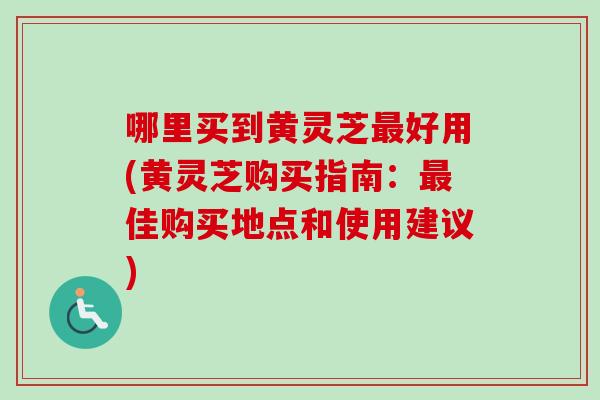 哪里买到黄灵芝最好用(黄灵芝购买指南：最佳购买地点和使用建议)