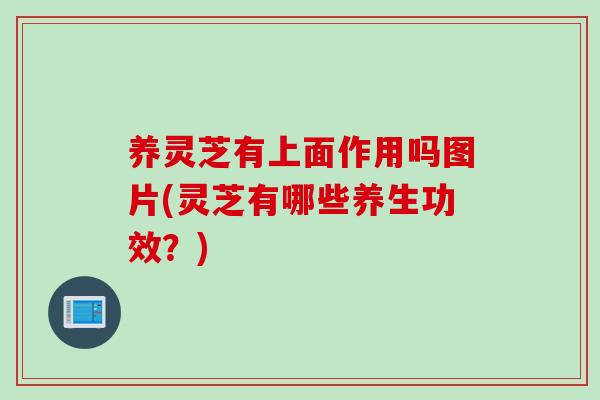 养灵芝有上面作用吗图片(灵芝有哪些养生功效？)