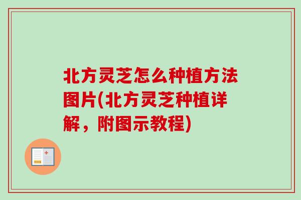 北方灵芝怎么种植方法图片(北方灵芝种植详解，附图示教程)