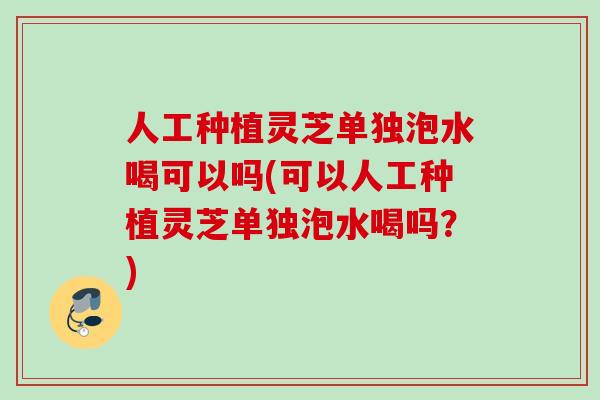 人工种植灵芝单独泡水喝可以吗(可以人工种植灵芝单独泡水喝吗？)