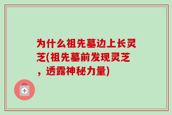 为什么祖先墓边上长灵芝(祖先墓前发现灵芝，透露神秘力量)