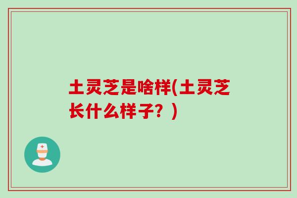 土灵芝是啥样(土灵芝长什么样子?) 土灵芝是啥样(土灵芝长什么样子?)
