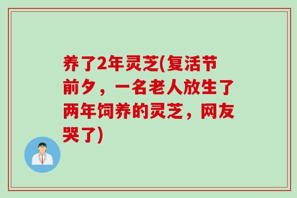养了2年灵芝(复活节前夕，一名老人放生了两年饲养的灵芝，网友哭了)