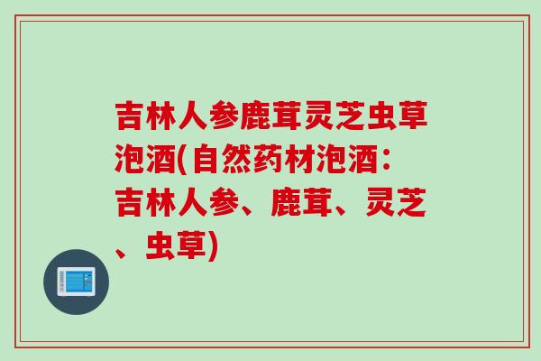吉林人参鹿茸灵芝虫草泡酒(自然药材泡酒:吉林人参、鹿茸、灵芝、虫草) 吉林人参鹿茸灵芝虫草泡酒(自然药材泡酒:吉林人参、鹿茸、灵芝、虫草)