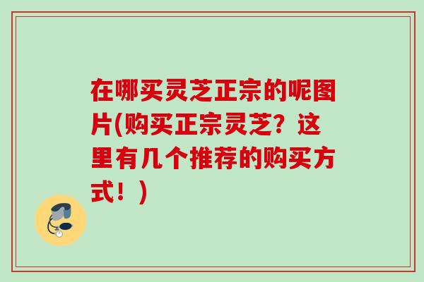 在哪买灵芝正宗的呢图片(购买正宗灵芝?这里有几个推荐的购买方式!) 在哪买灵芝正宗的呢图片(购买正宗灵芝?这里有几个推荐的购买方式!)