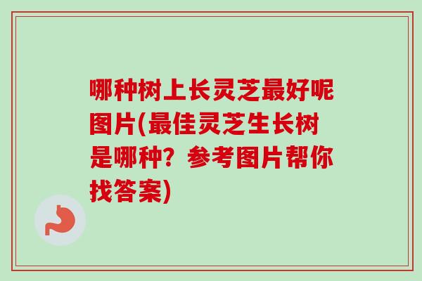 哪种树上长灵芝最好呢图片(最佳灵芝生长树是哪种？参考图片帮你找答案)
