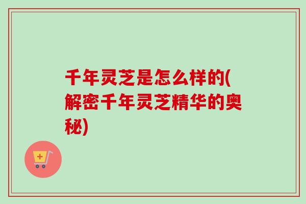 千年灵芝是怎么样的(解密千年灵芝精华的奥秘)