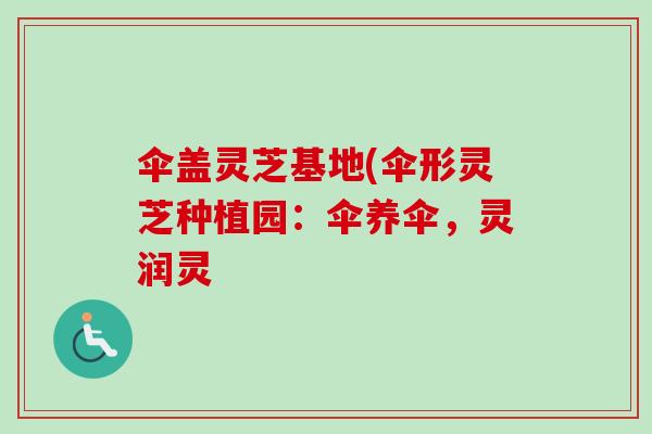 伞盖灵芝基地(伞形灵芝种植园：伞养伞，灵润灵