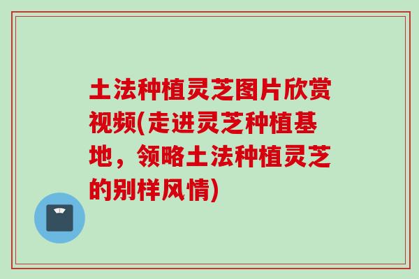 土法种植灵芝图片欣赏视频(走进灵芝种植基地，领略土法种植灵芝的别样风情)