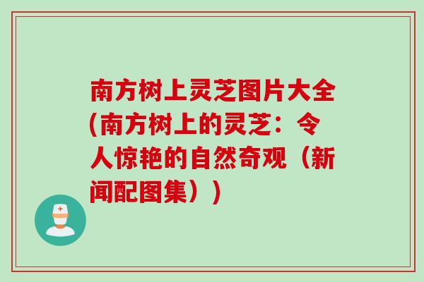 南方树上灵芝图片大全(南方树上的灵芝：令人惊艳的自然奇观（新闻配图集）)