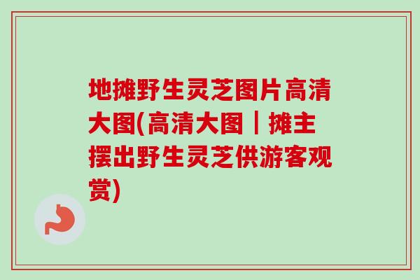 地摊野生灵芝图片高清大图(高清大图｜摊主摆出野生灵芝供游客观赏)