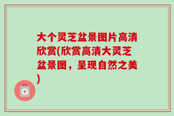 大个灵芝盆景图片高清欣赏(欣赏高清大灵芝盆景图，呈现自然之美)
