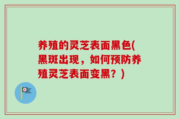 养殖的灵芝表面黑色(黑斑出现，如何预防养殖灵芝表面变黑？)