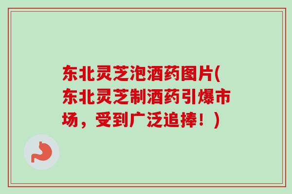 东北灵芝泡酒药图片(东北灵芝制酒药引爆市场，受到广泛追捧！)