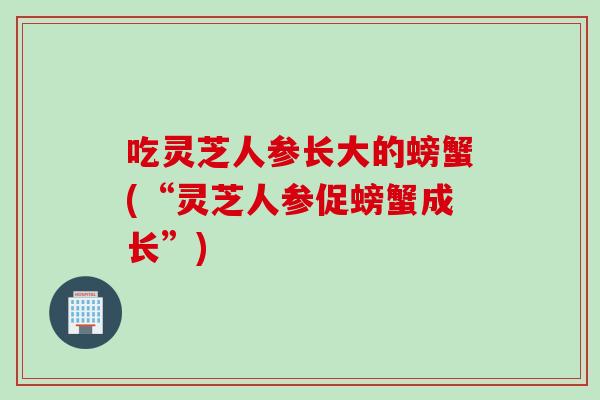 吃灵芝人参长大的螃蟹(“灵芝人参促螃蟹成长”)