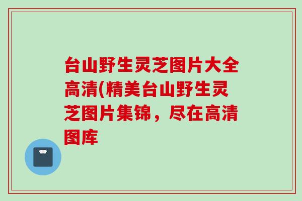 台山野生灵芝图片大全高清(精美台山野生灵芝图片集锦，尽在高清图库