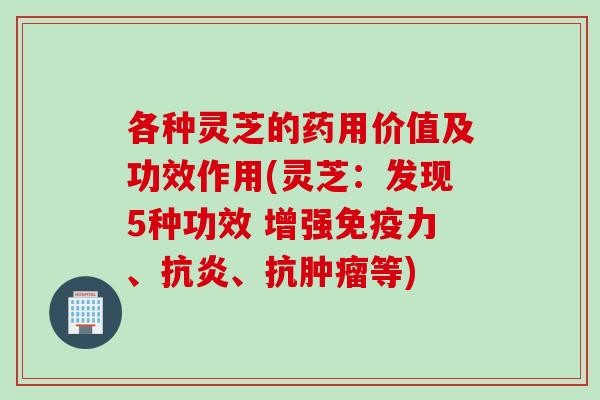 各种灵芝的药用价值及功效作用(灵芝：发现5种功效 增强免疫力、抗炎、抗肿瘤等)