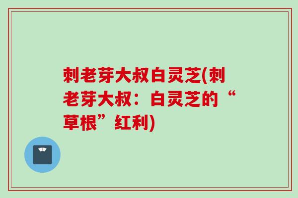 刺老芽大叔白灵芝(刺老芽大叔：白灵芝的“草根”红利)