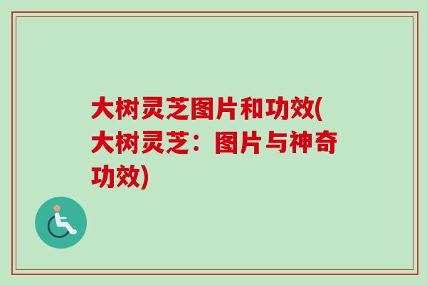 大树灵芝图片和功效(大树灵芝：图片与神奇功效)
