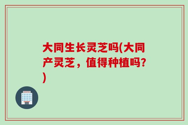 大同生长灵芝吗(大同产灵芝，值得种植吗？)