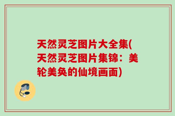 天然灵芝图片大全集(天然灵芝图片集锦：美轮美奂的仙境画面)
