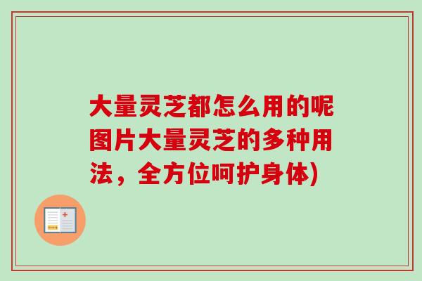 大量灵芝都怎么用的呢图片大量灵芝的多种用法，全方位呵护身体)