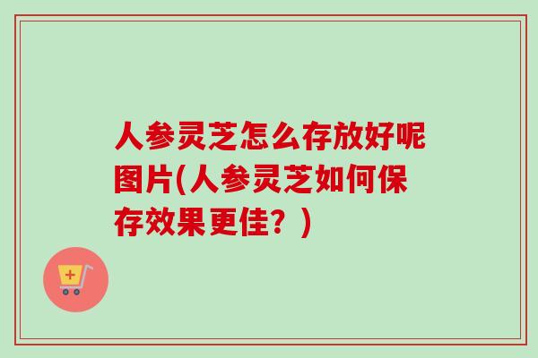 人参灵芝怎么存放好呢图片(人参灵芝如何保存效果更佳？)