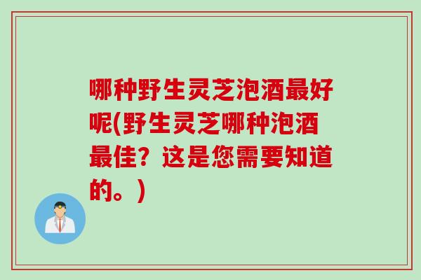 哪种野生灵芝泡酒最好呢(野生灵芝哪种泡酒最佳？这是您需要知道的。)
