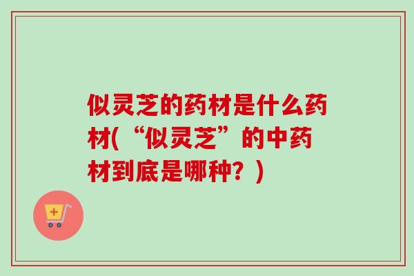 似灵芝的药材是什么药材(“似灵芝”的材到底是哪种?) 似灵芝的药材是什么药材(“似灵芝”的材到底是哪种?)