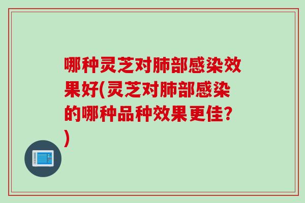 哪种灵芝对肺部感染效果好(灵芝对肺部感染的哪种品种效果更佳？)