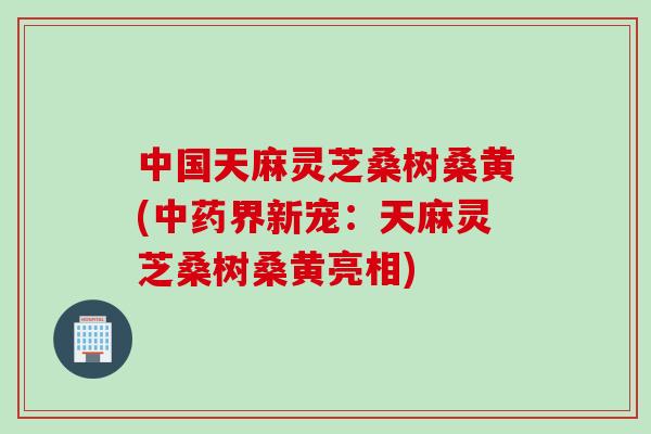 中国天麻灵芝桑树桑黄(中药界新宠：天麻灵芝桑树桑黄亮相)