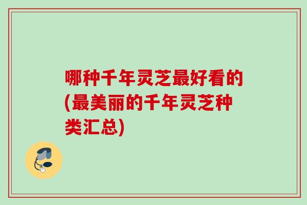 哪种千年灵芝好看的(美丽的千年灵芝种类汇总) 哪种千年灵芝好看的(美丽的千年灵芝种类汇总)