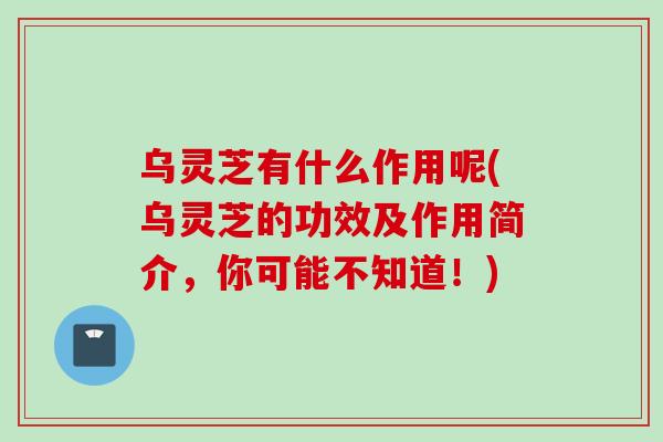 乌灵芝有什么作用呢(乌灵芝的功效及作用简介，你可能不知道！)