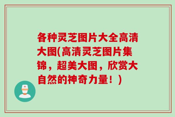 各种灵芝图片大全高清大图(高清灵芝图片集锦，超美大图，欣赏大自然的神奇力量！)