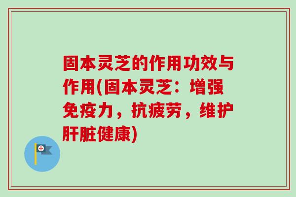 固本灵芝的作用功效与作用(固本灵芝：增强免疫力，抗疲劳，维护肝脏健康)