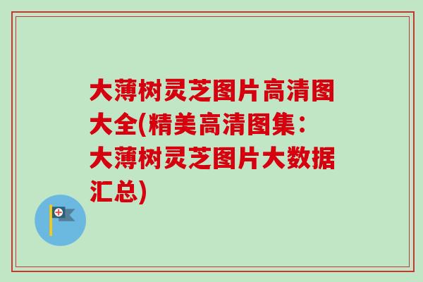 大薄树灵芝图片高清图大全(精美高清图集:大薄树灵芝图片大数据汇总) 大薄树灵芝图片高清图大全(精美高清图集:大薄树灵芝图片大数据汇总)