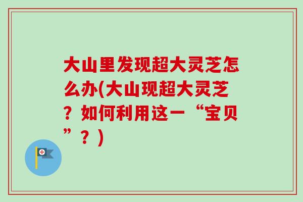 大山里发现超大灵芝怎么办(大山现超大灵芝？如何利用这一“宝贝”？)
