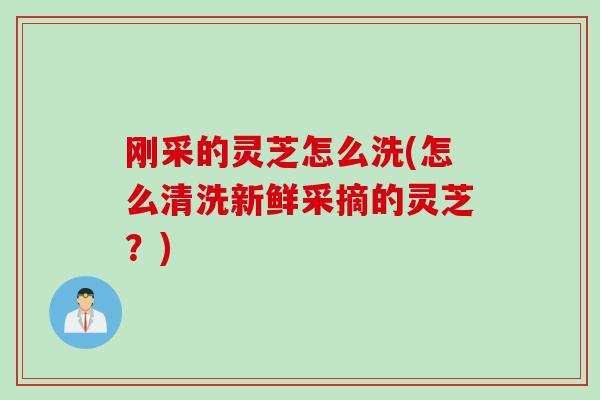 刚采的灵芝怎么洗(怎么清洗新鲜采摘的灵芝？)